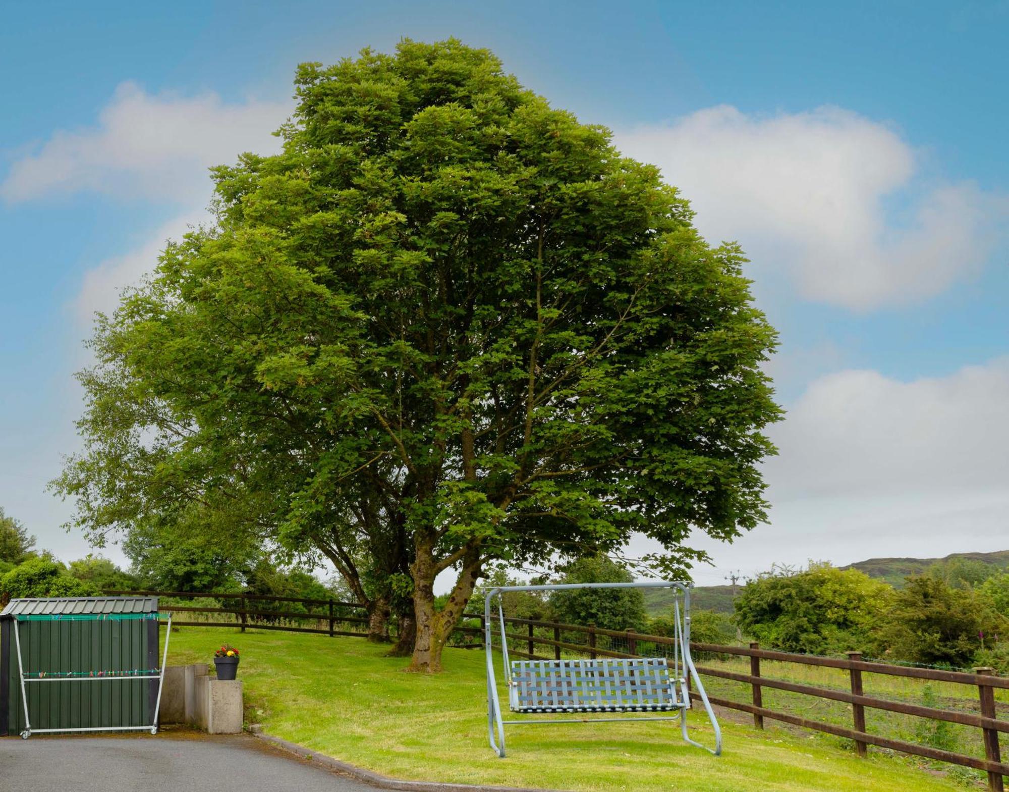 Mountain Nest At The Foot Of Slieve Gullion Apartment Cloghoge Bagian luar foto