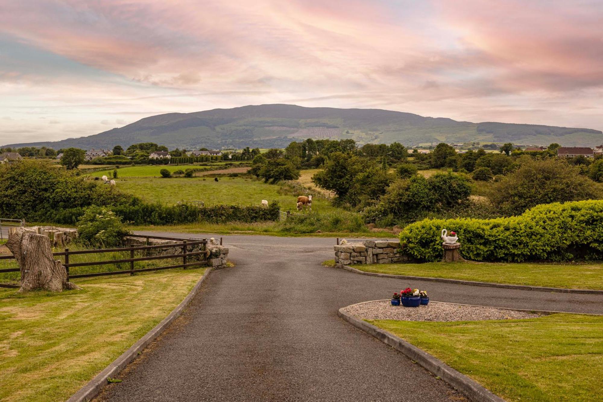 Mountain Nest At The Foot Of Slieve Gullion Apartment Cloghoge Bagian luar foto